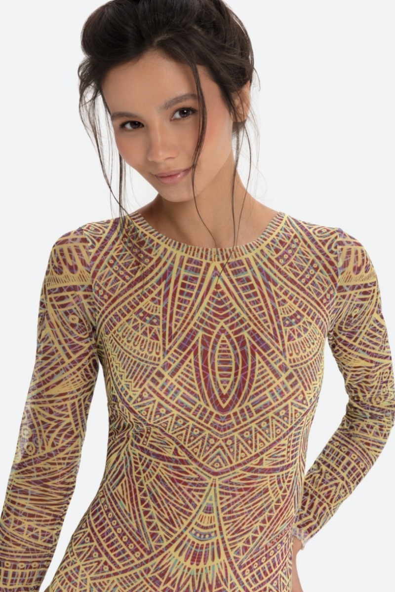 sku: 24001065 | Brand: RoDaSoleil  | Size: XSmall Small Medium Large XLarge  | Colors: Цветной  | Бренды RoDaSoleil | Купальники Слитные | Title: Слитный купальник АЦТЕКИ