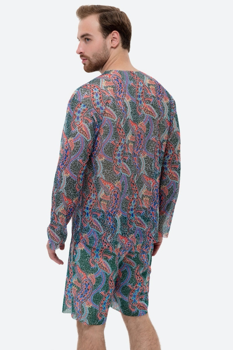 sku: 25981773 | Brand: RoDaSoleil  | Size: Small Medium Large XLarge XXLarge  | Colors: Цветной  | Бренды RoDaSoleil | Пляжная одежда | Мужская коллекция Пляжная одежда | Title: Бермуды КРОКОДИЛ МУЛЬТИКОЛОР ПАТТЕРН